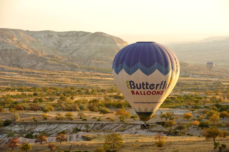 土耳其热气球翱翔于山谷之上图片