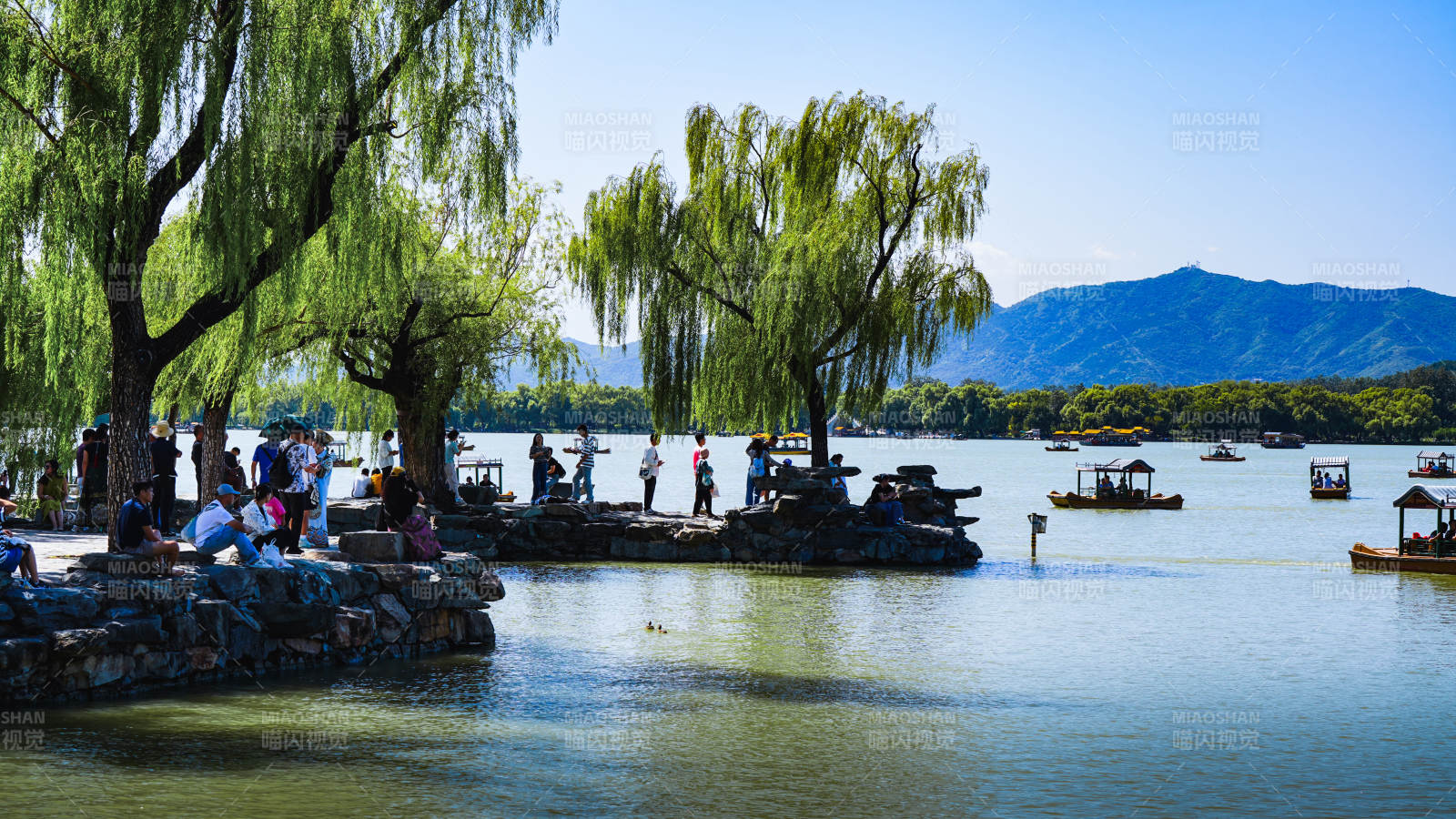 颐和园湖畔垂柳 游人如织图片
