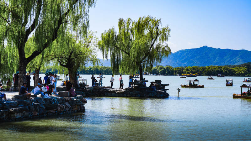 颐和园湖畔垂柳 游人如织图片