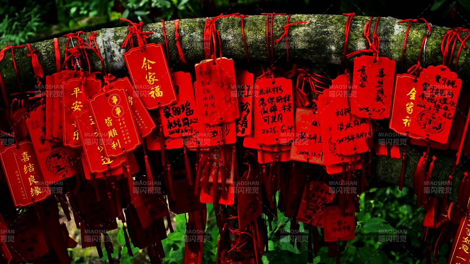 层层叠叠的祈福心愿牌挂枝头图片