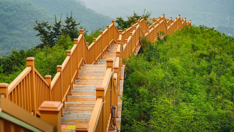 北京溜石港村山间木栈道 绿意盎然图片