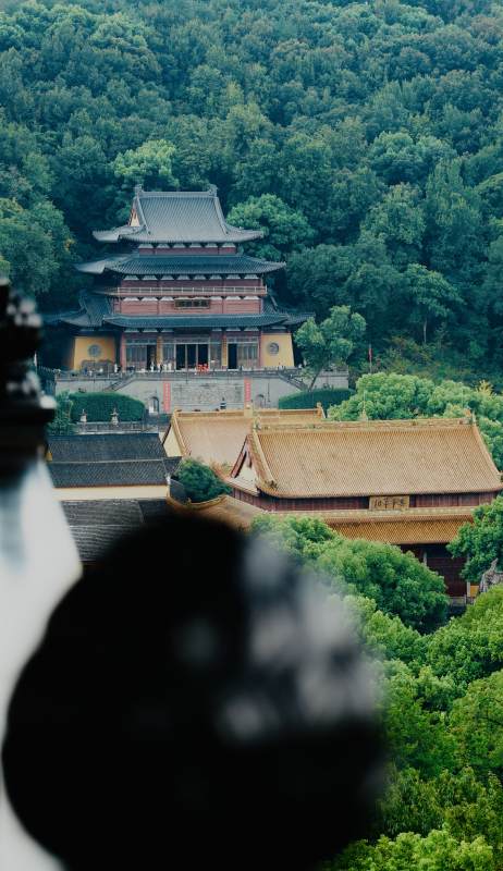 杭州净慈寺山林古寺静谧景图片