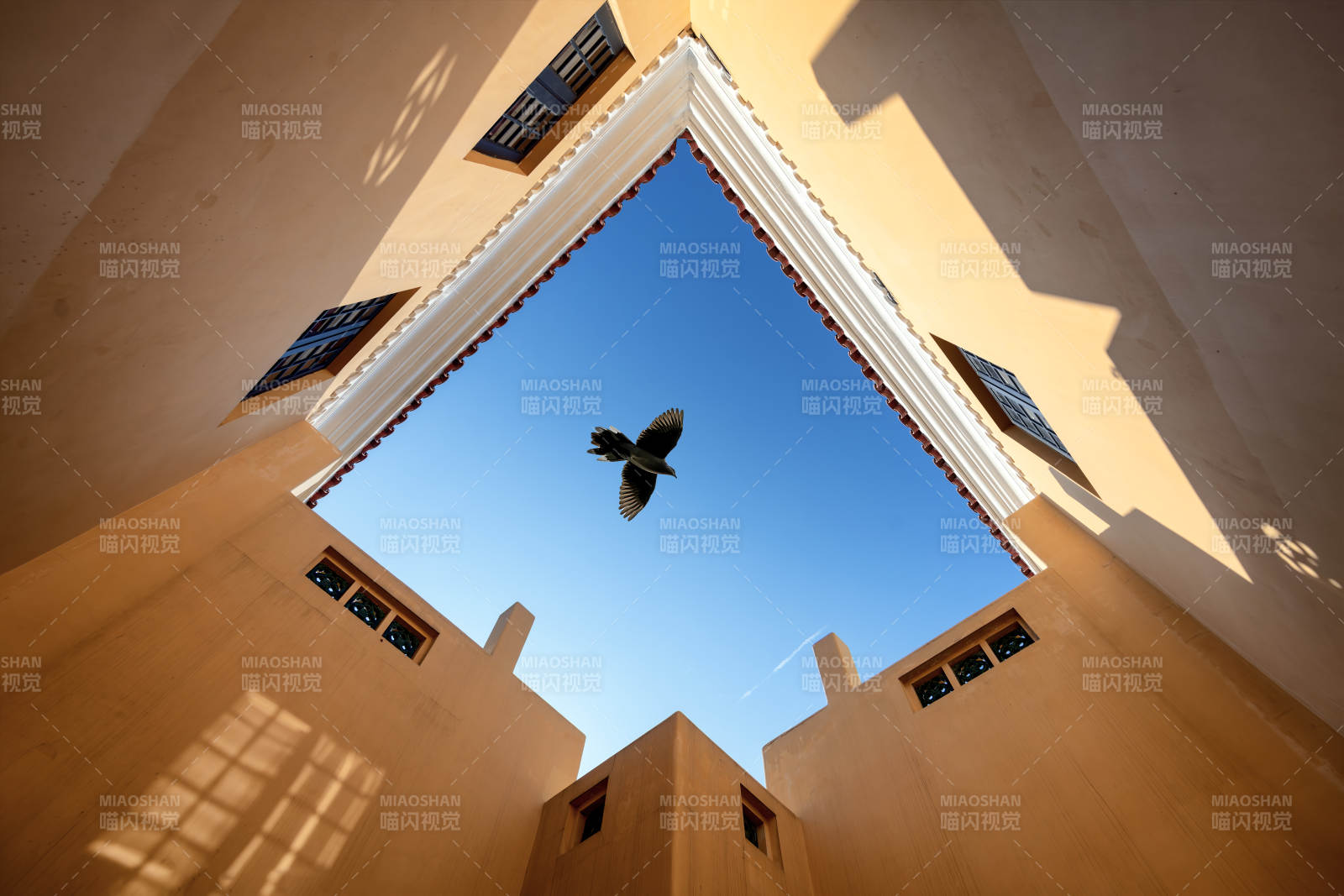 飞鸟掠过天井#上海#新梦堂图片