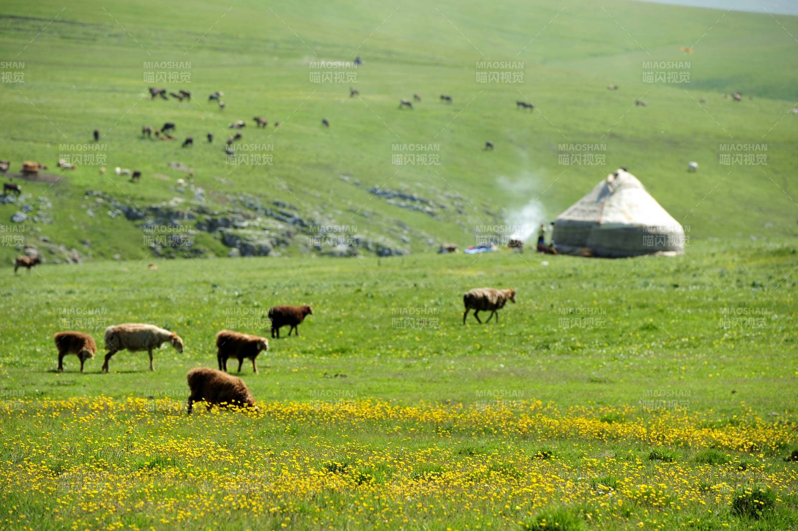 新疆喀拉峻草原牧羊图图片