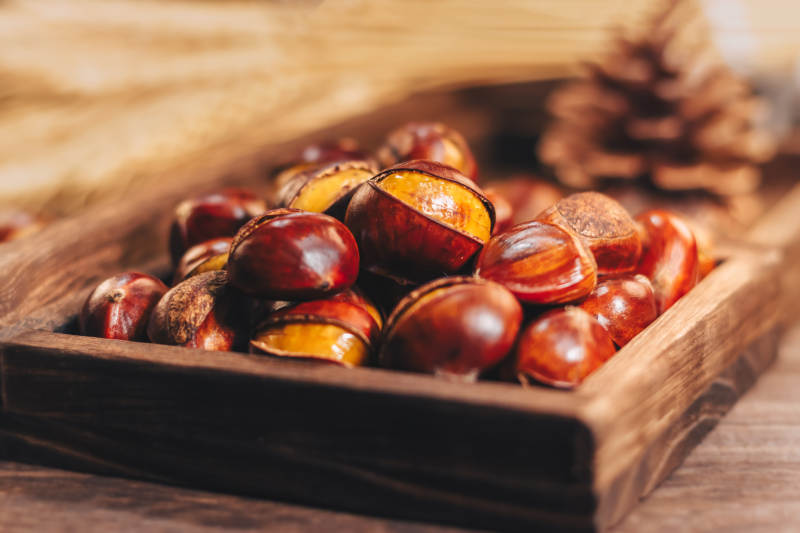 秋日烤板栗木盒静物图图片