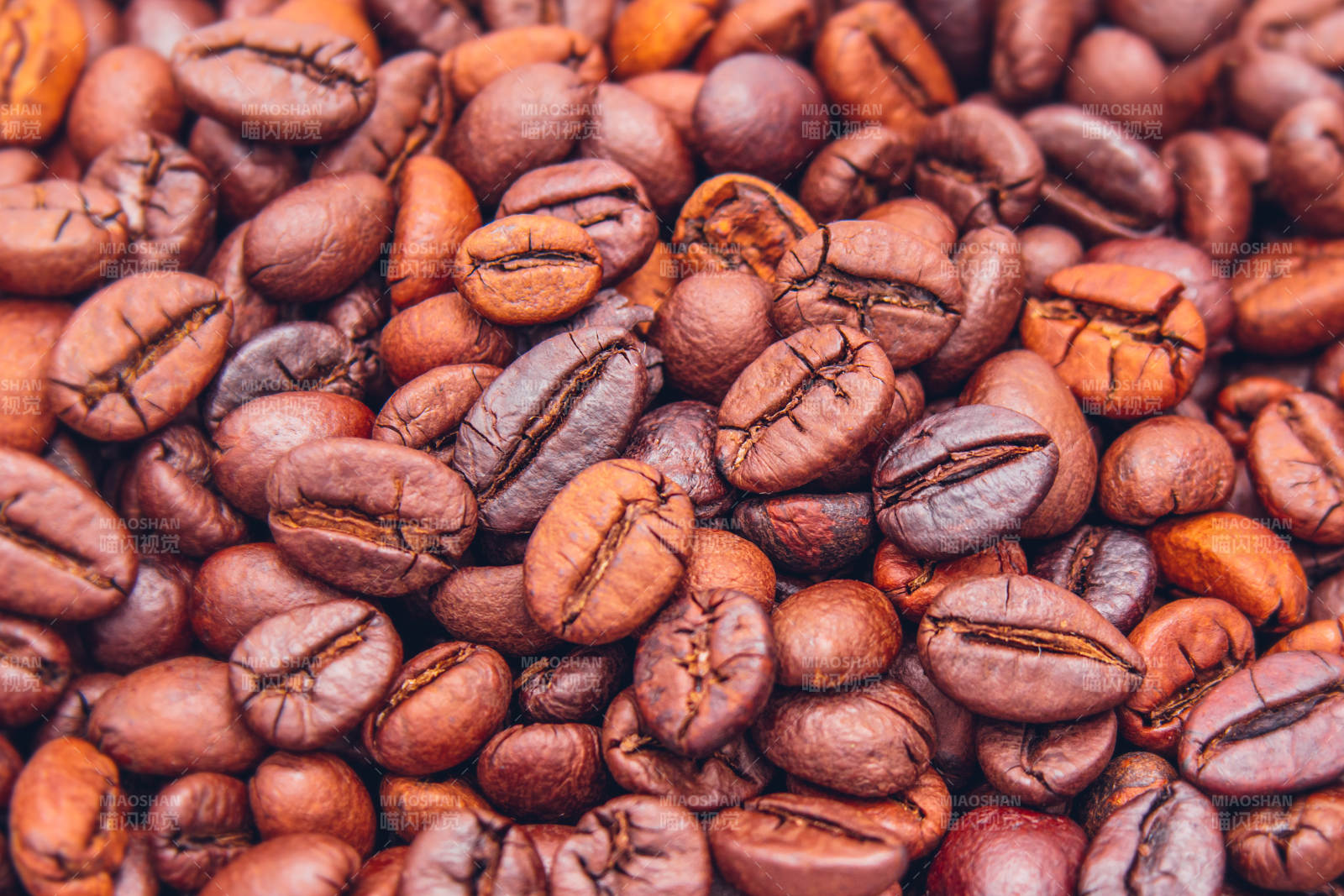 咖啡豆特写背景图图片