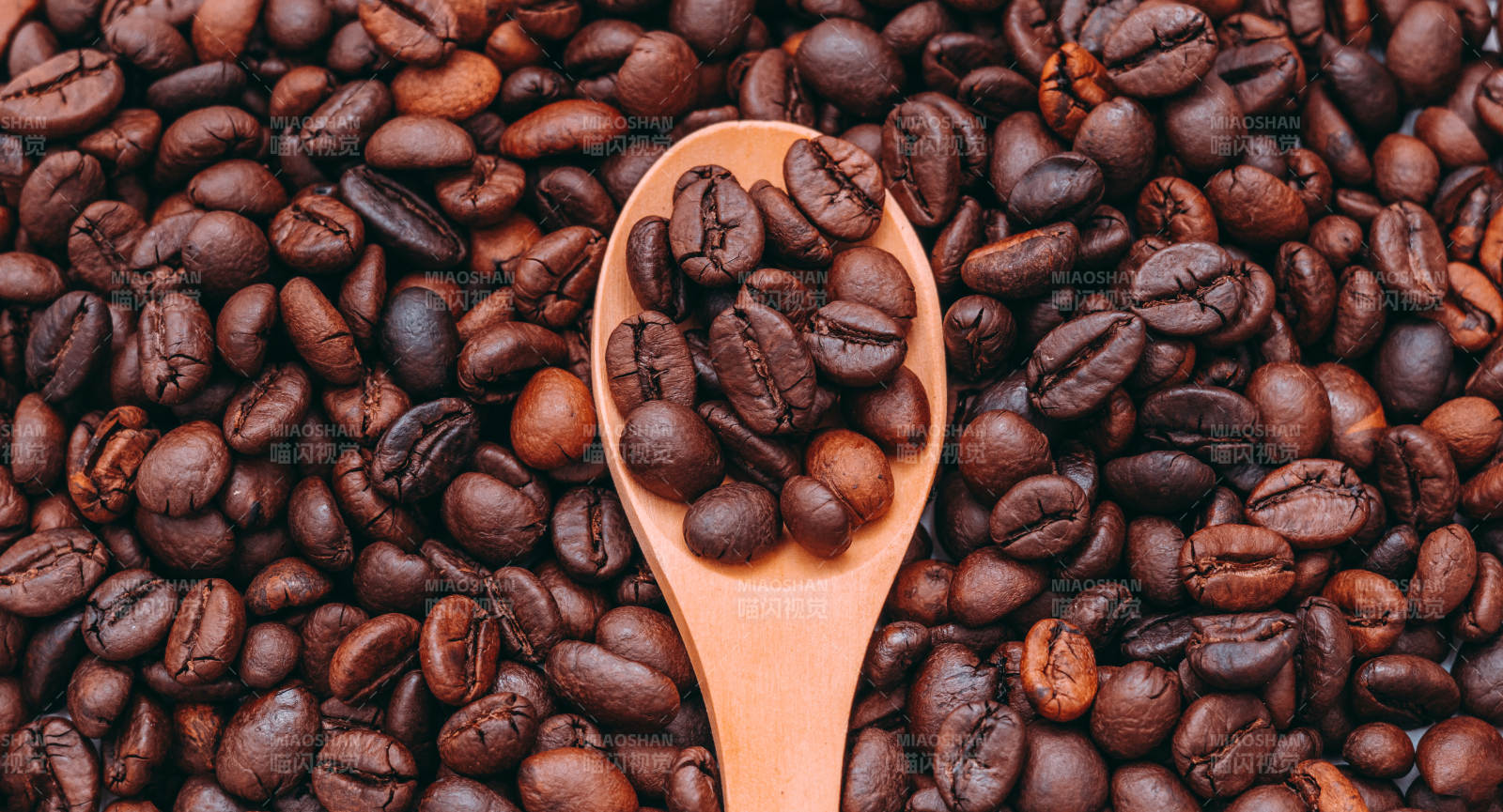 咖啡豆与木勺图片