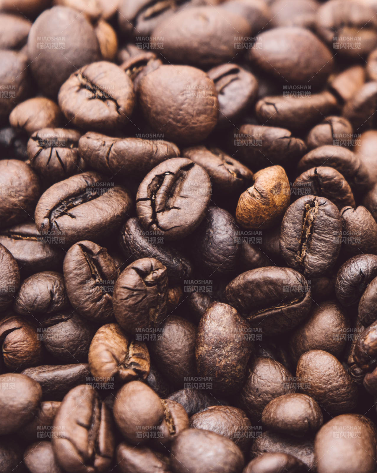 咖啡豆特写图片