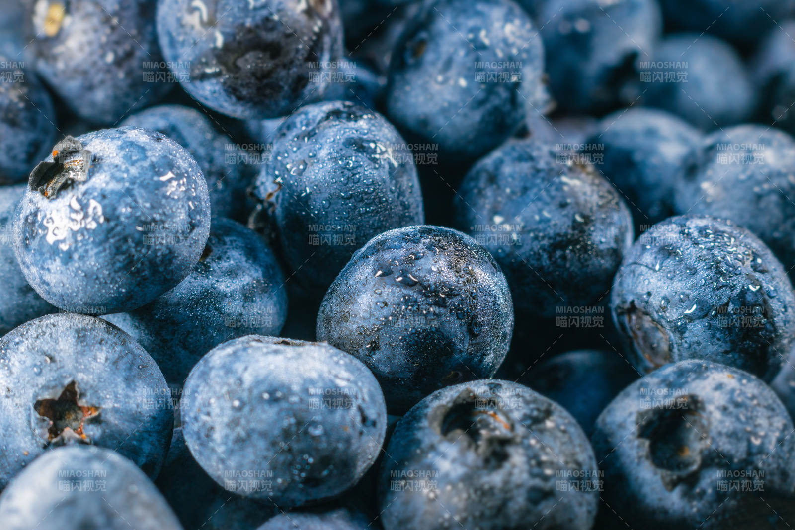 新鲜蓝莓特写图片
