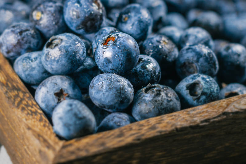 新鲜蓝莓木盒装图片