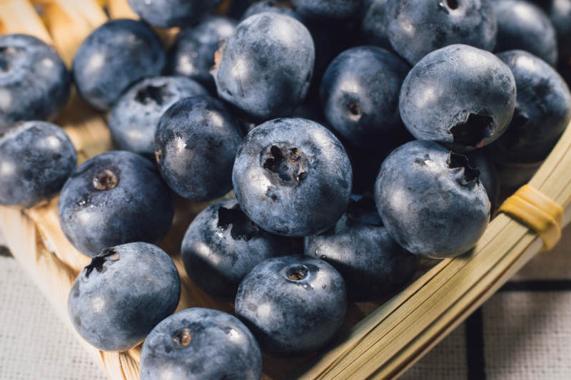 新鲜蓝莓特写图片