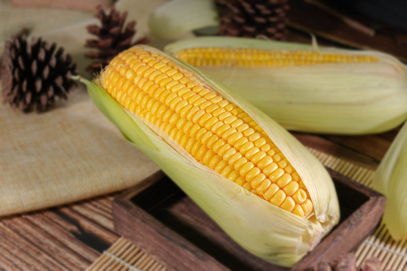 金黄玉米鲜嫩诱人图片