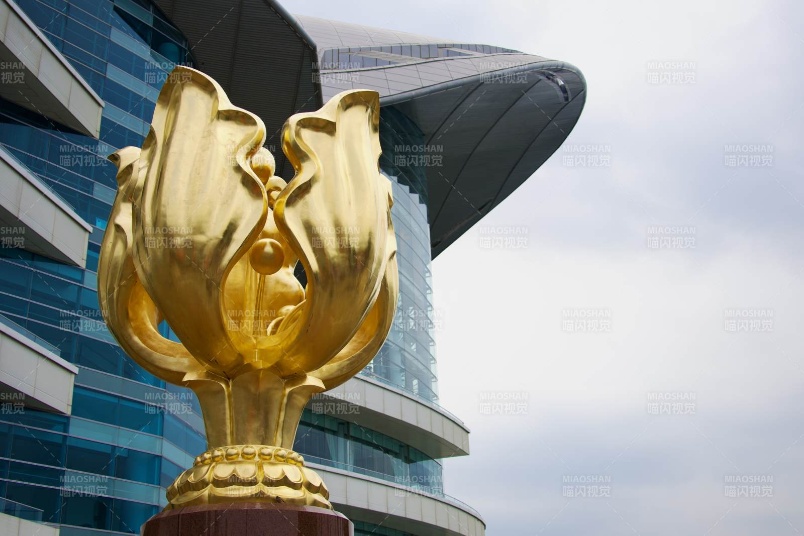 香港紫荆广场图片