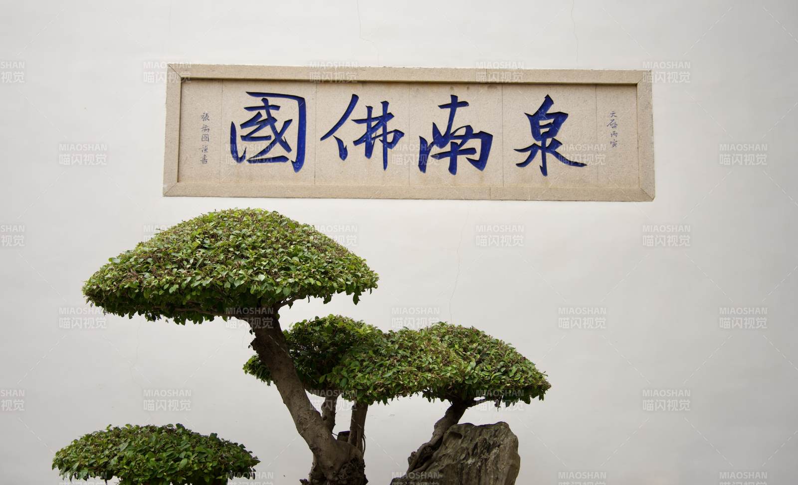 泉州承天寺图片