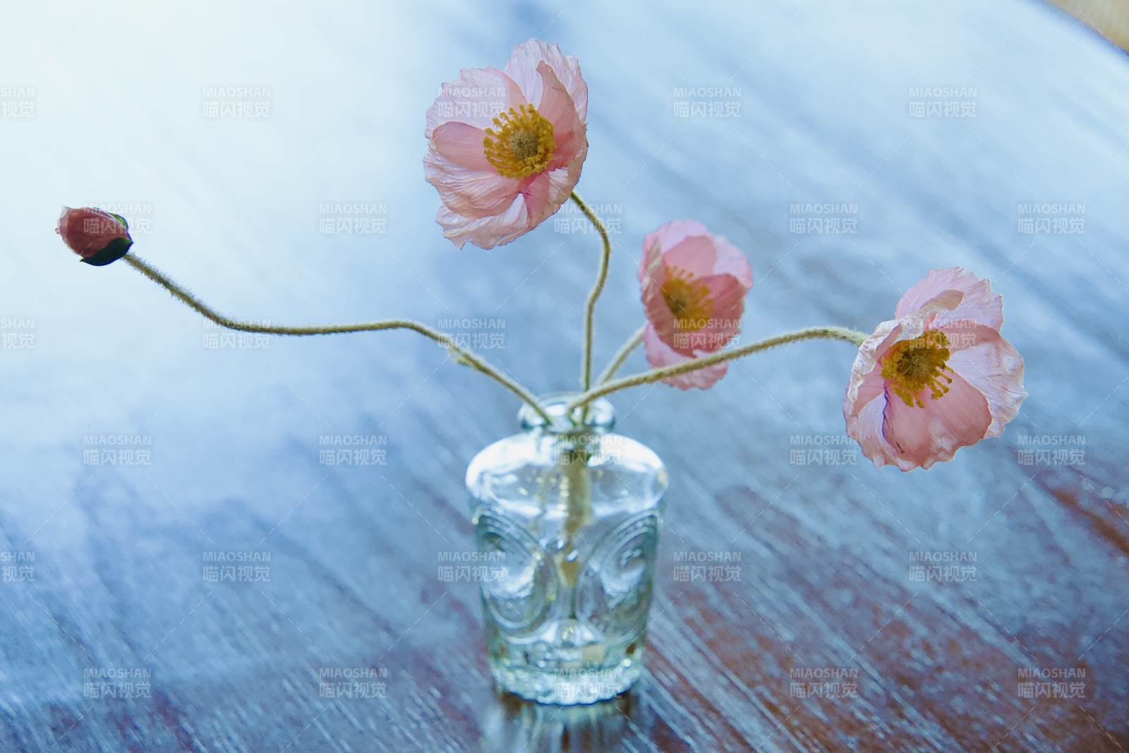 花瓶中的粉红花朵图片