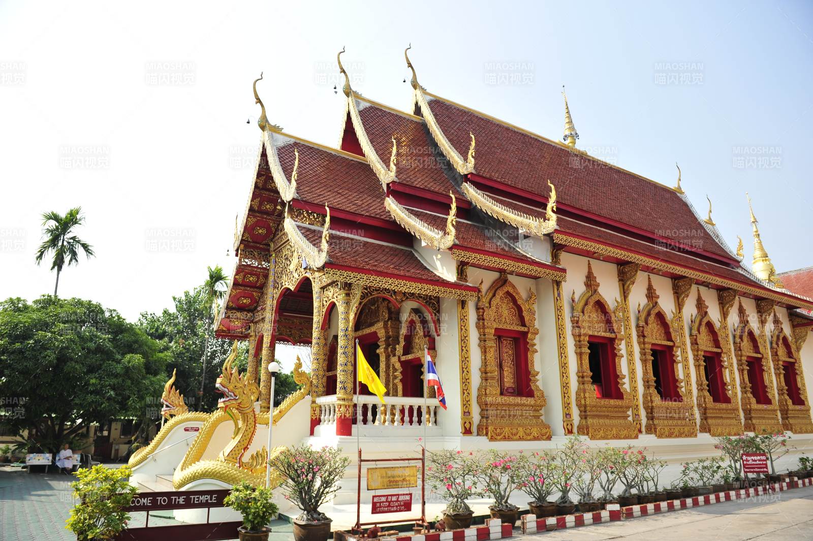 泰国清迈金碧辉煌的寺庙图片