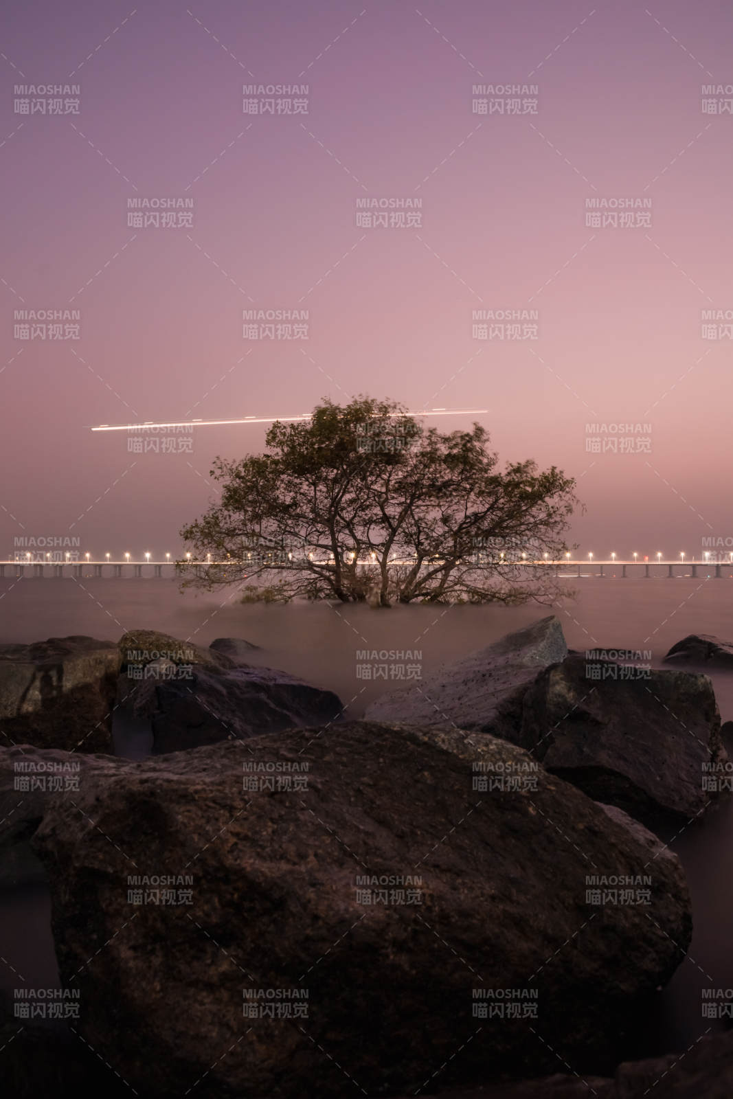 深圳宝安红树林图片