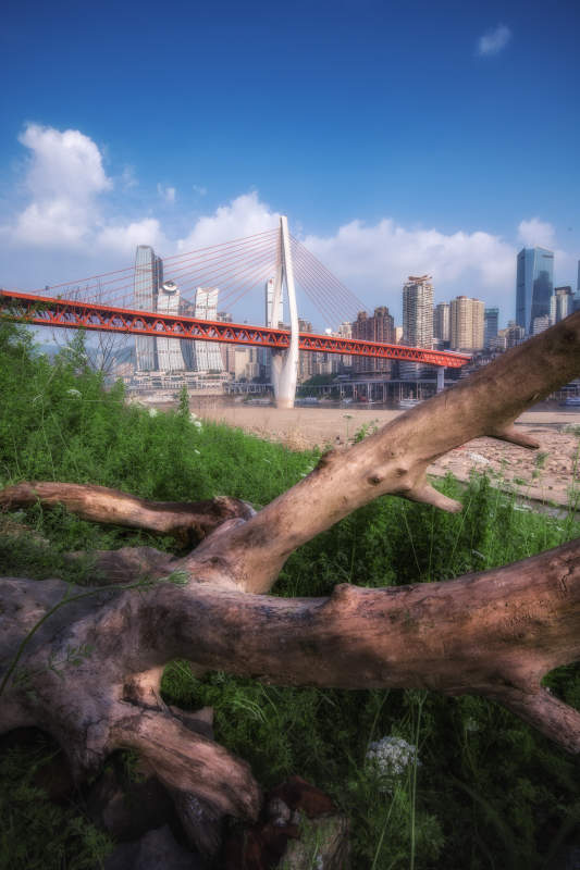 重庆千厮门大桥图片