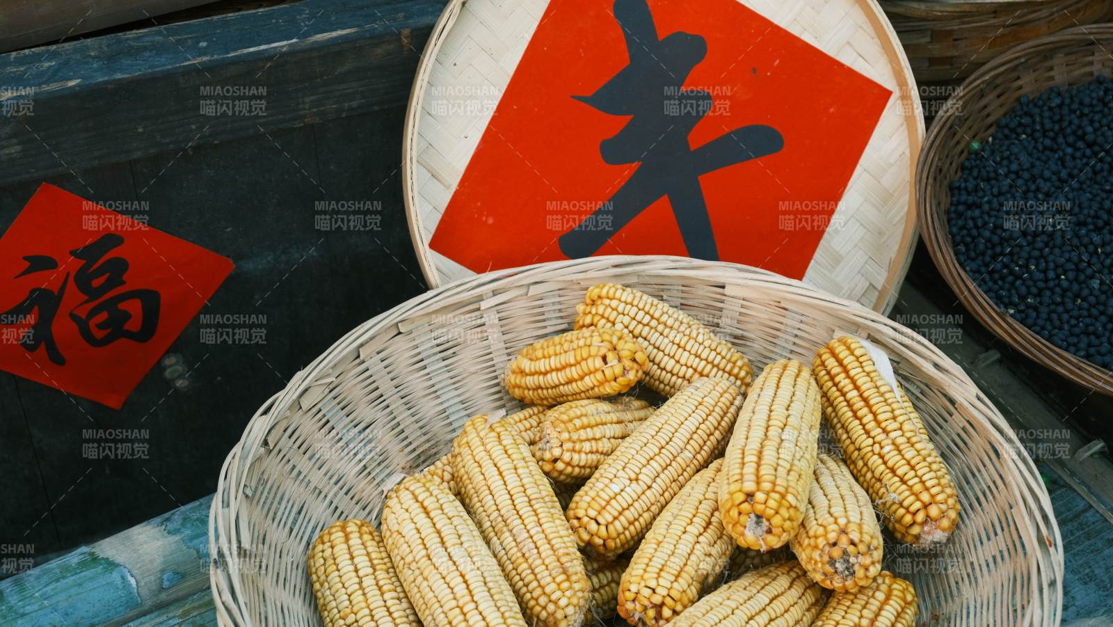 玉米丰收喜迎年图片