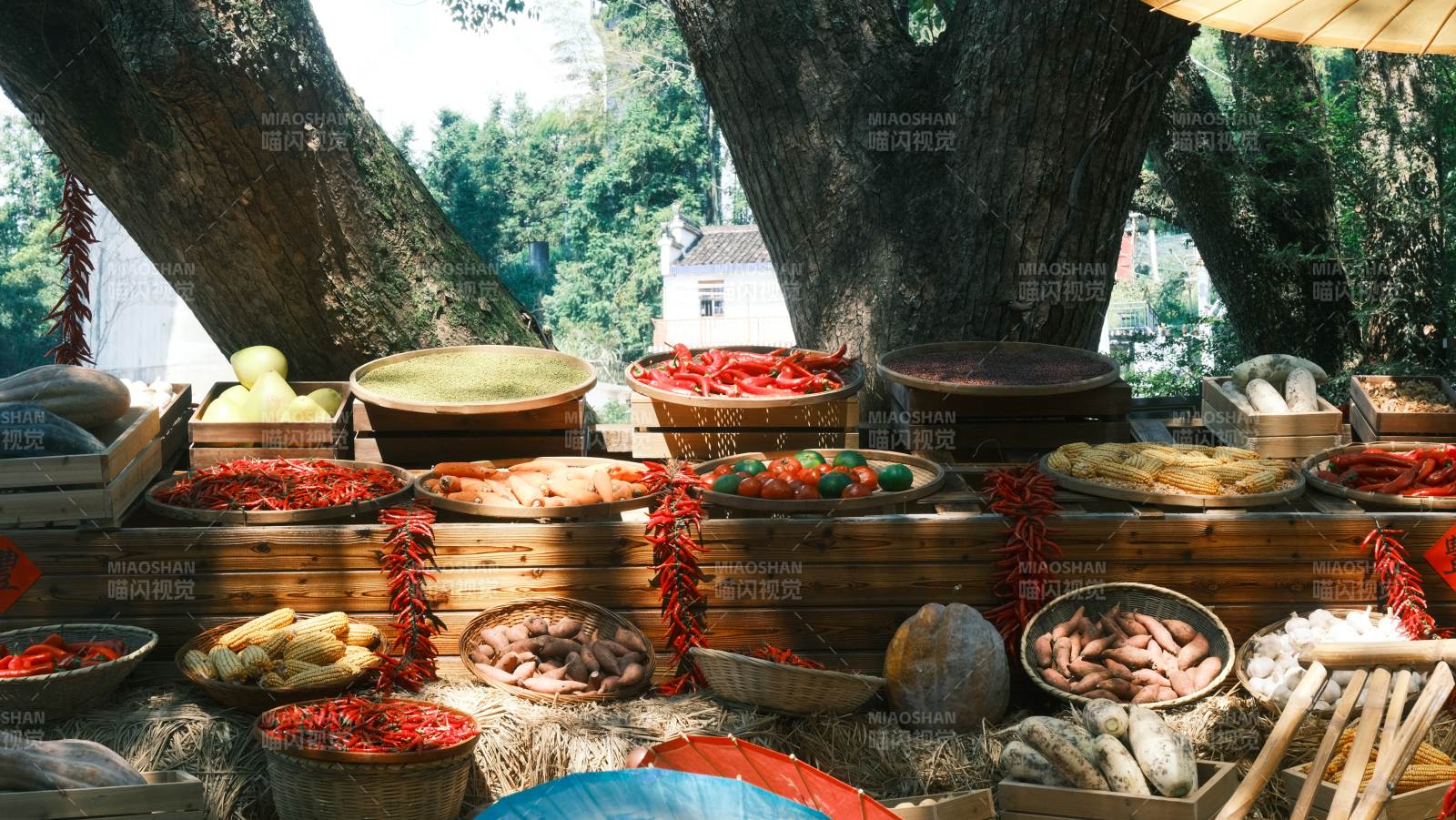 农产品丰收展示图片