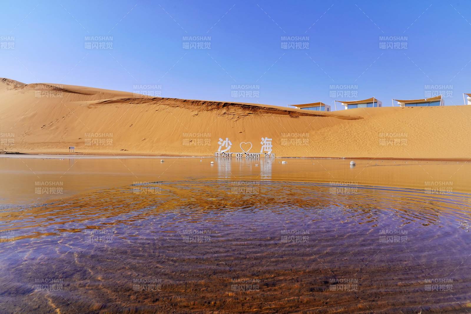 中卫少坡头景区的沙海景观图片