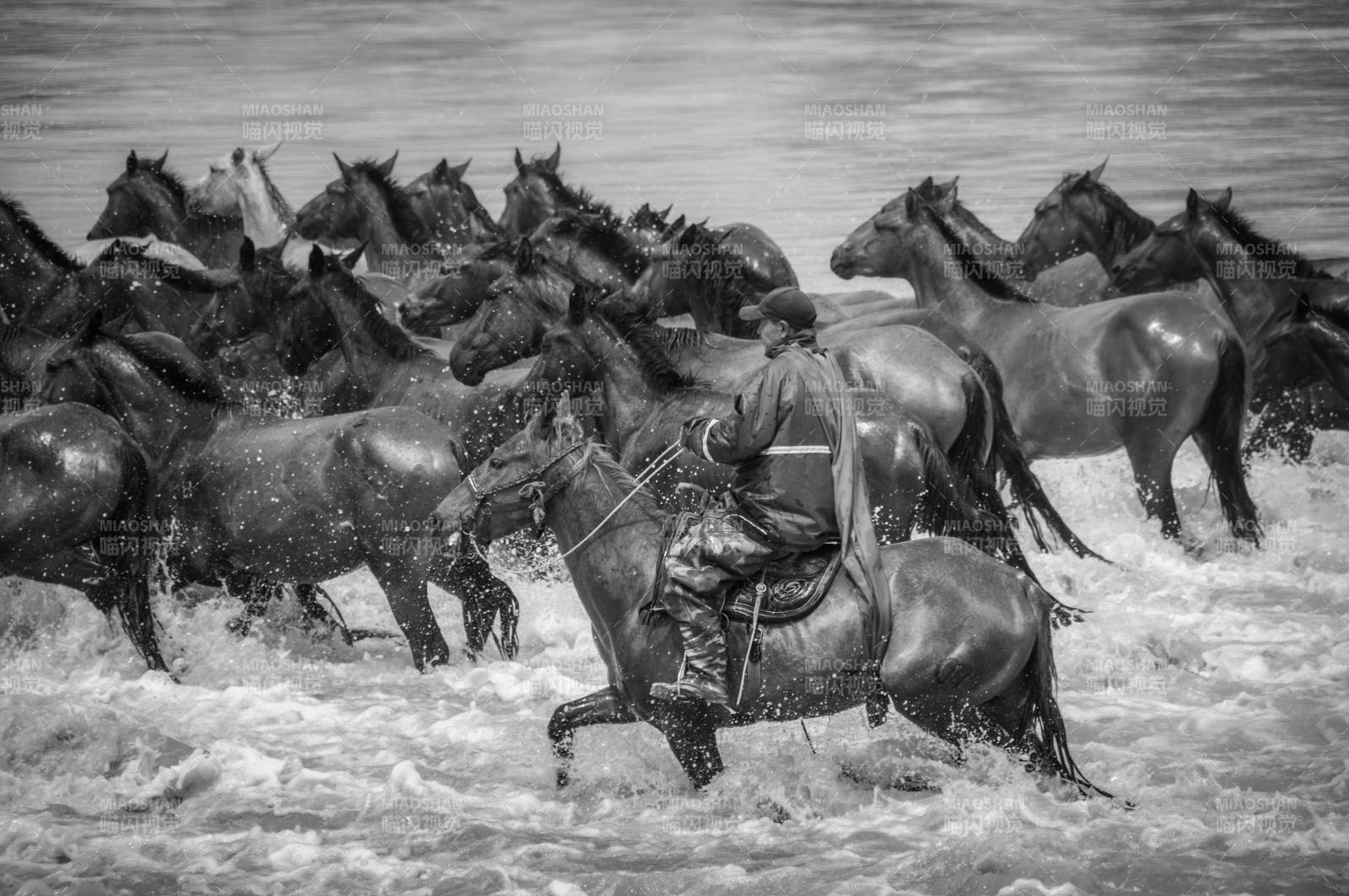 昭苏天马浴河图片