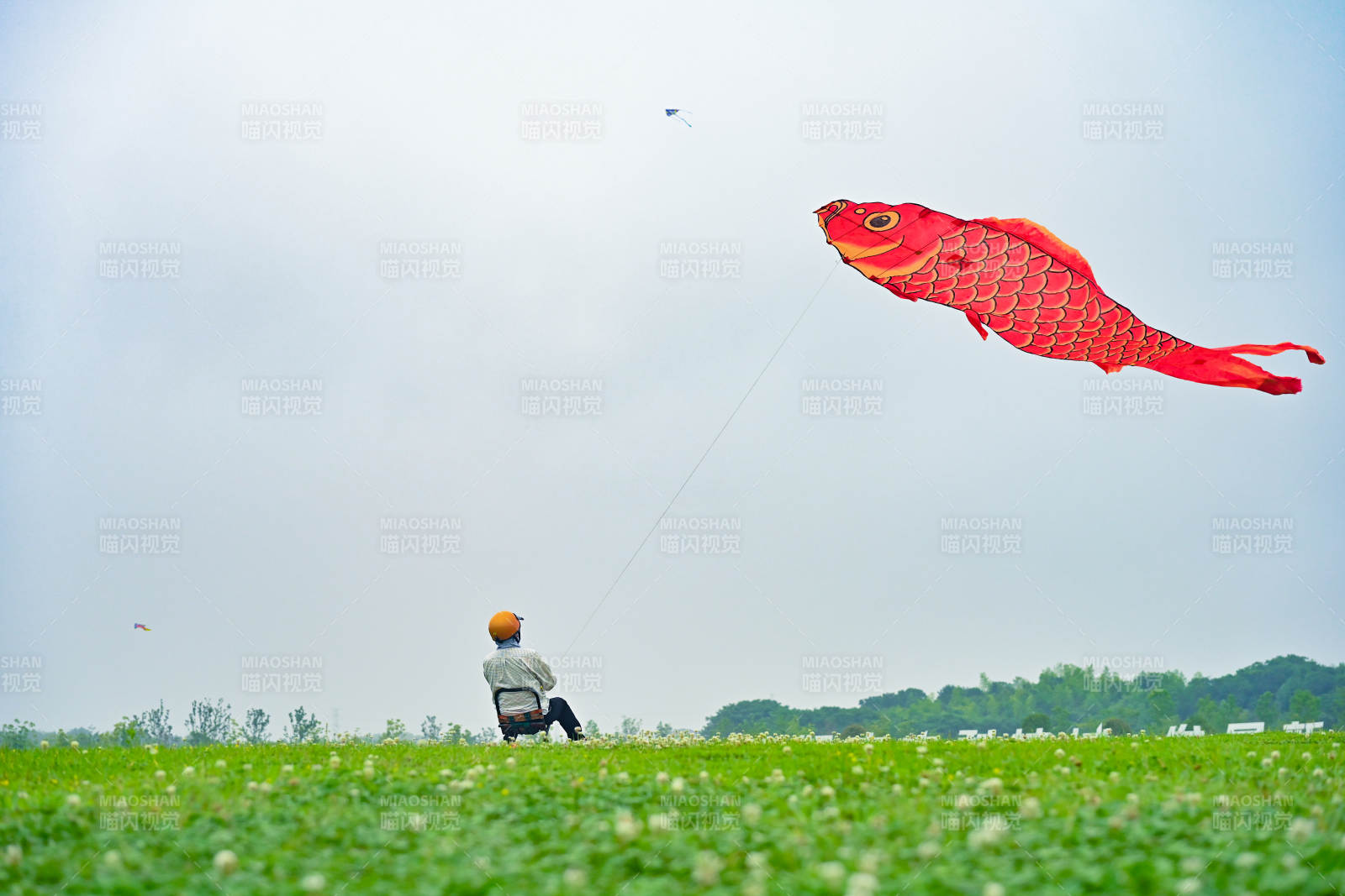 鱼形风筝飞天图片