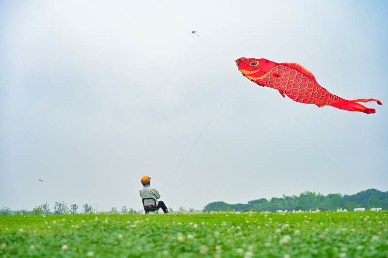 鱼形风筝飞天图片