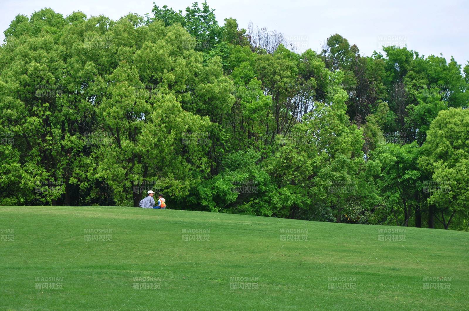 绿野情侣静坐图片