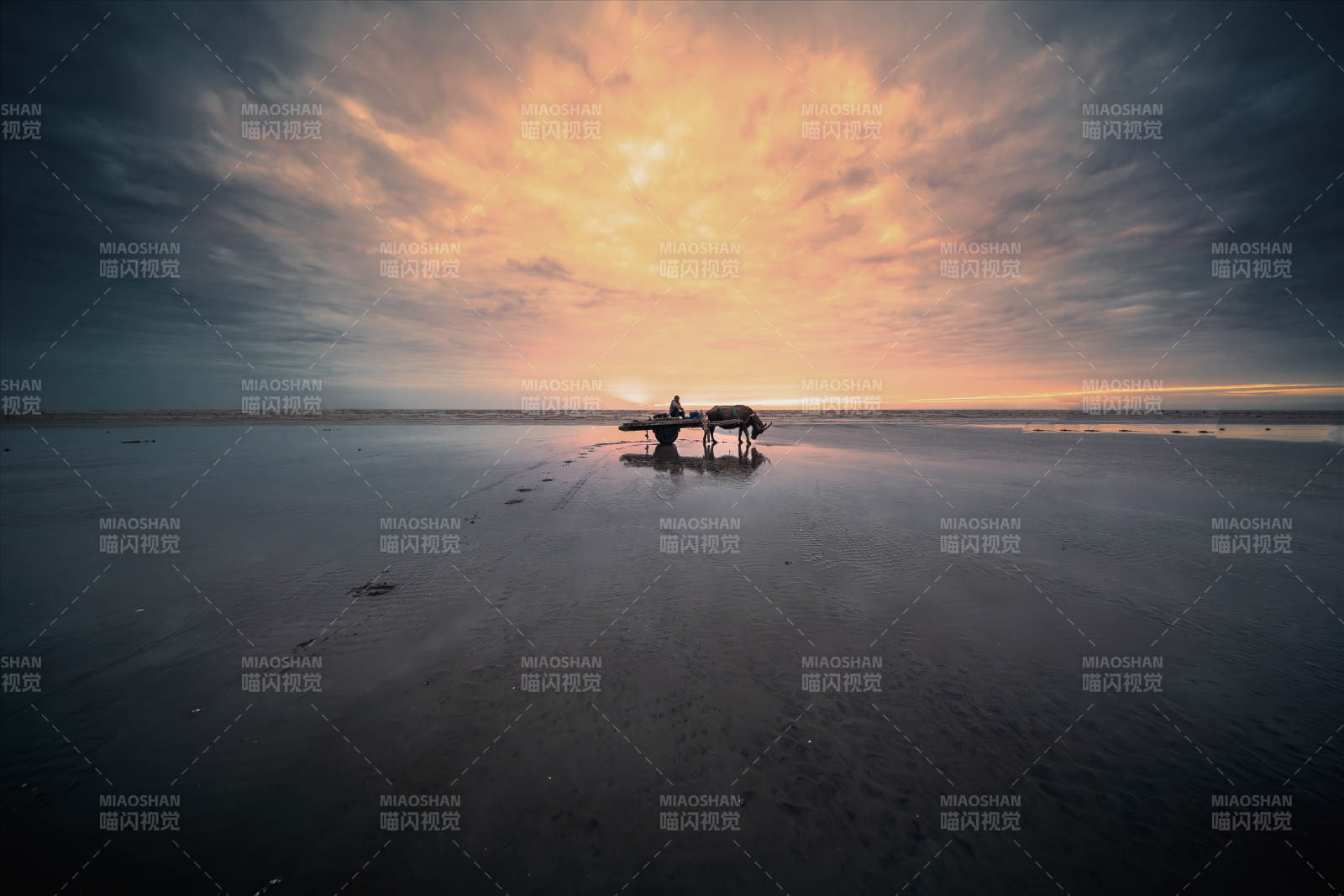 启东日出滩涂剪影图片