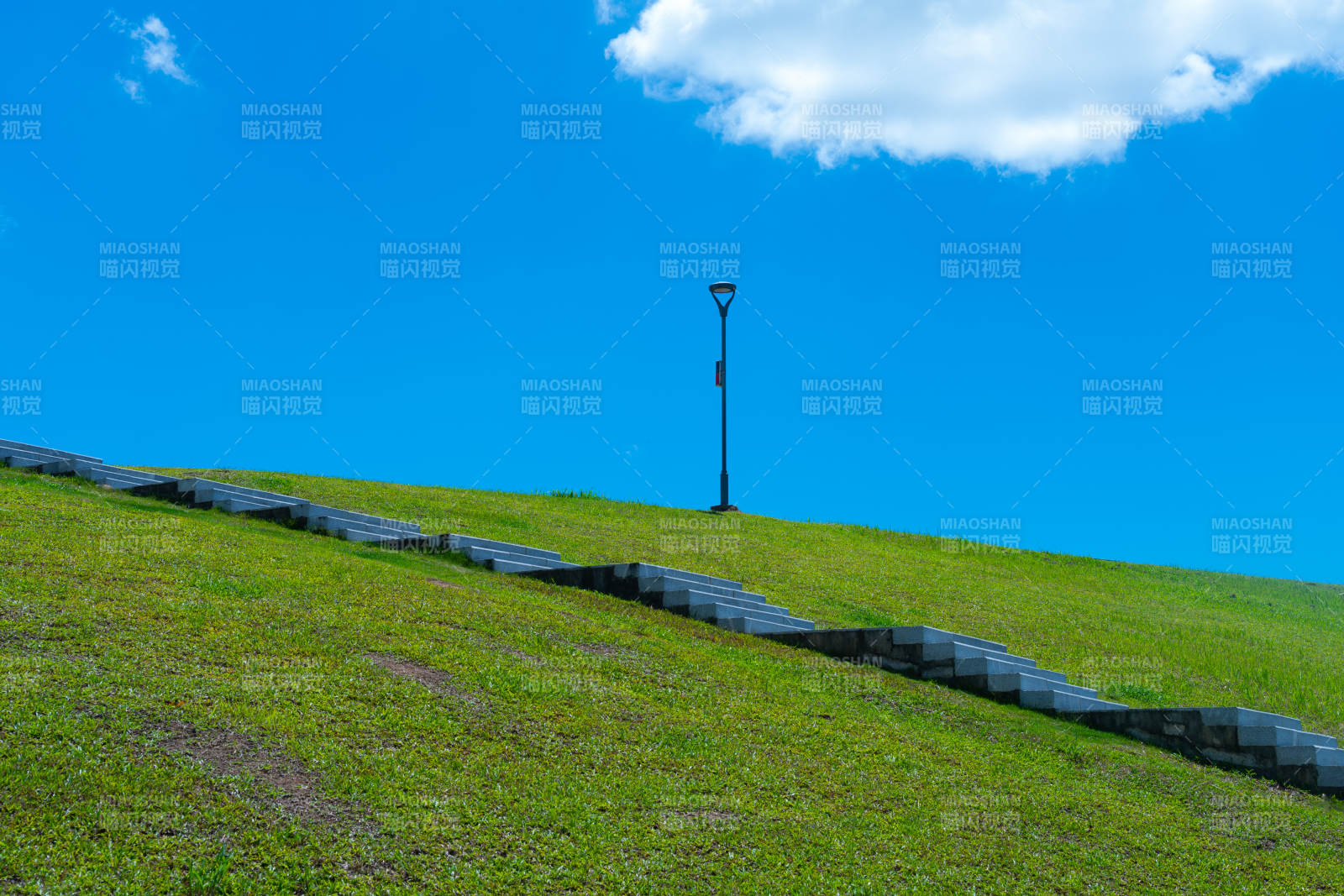 绿坡上的灯柱图片