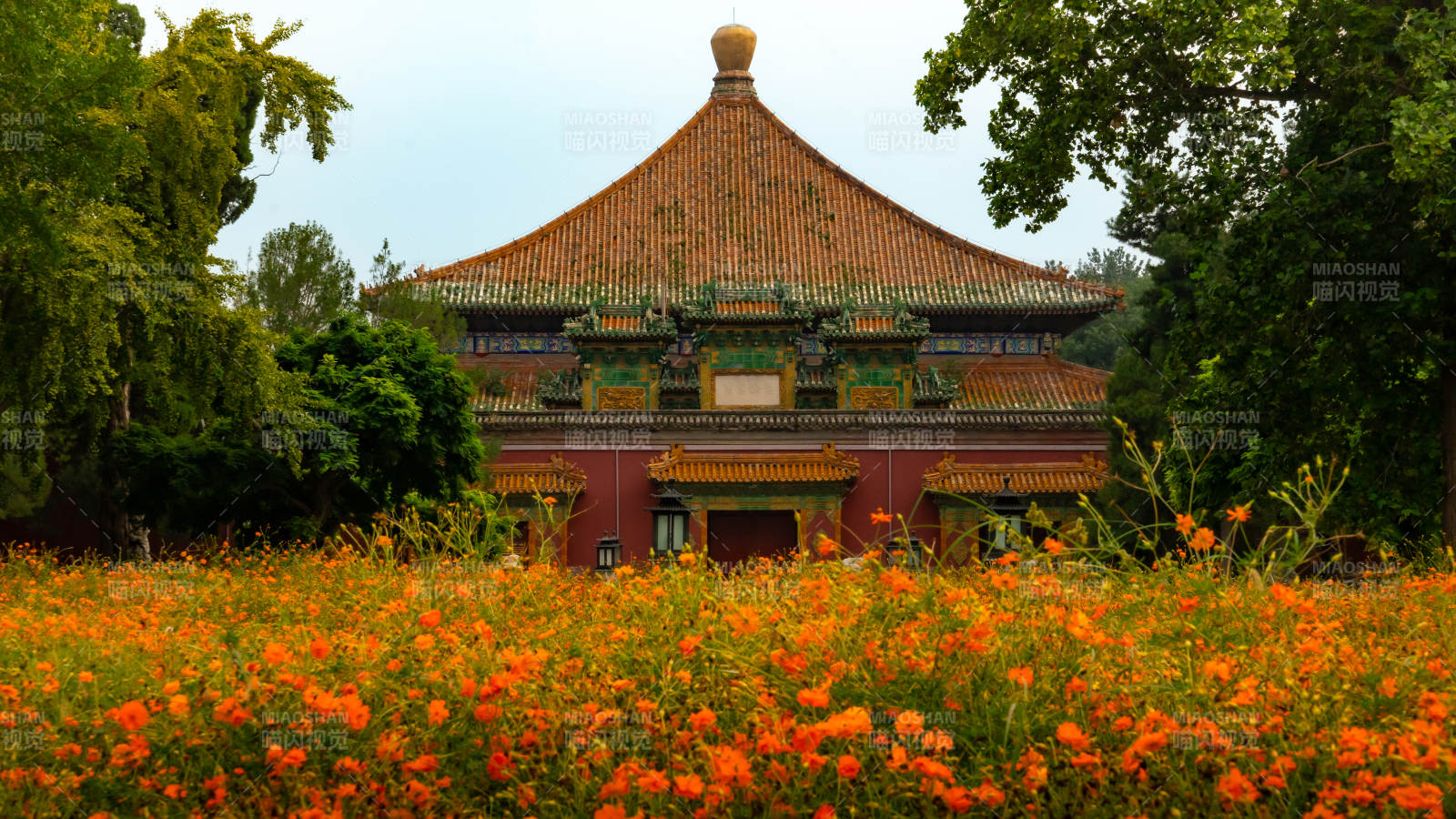 北海公园古建筑前花海绽放图片