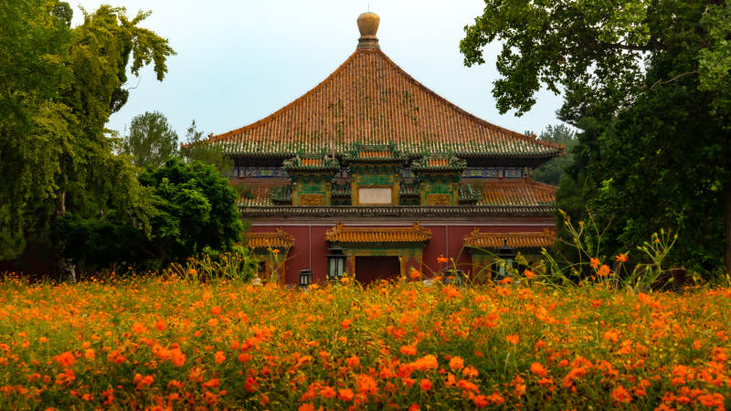 北海公园古建筑前花海绽放图片