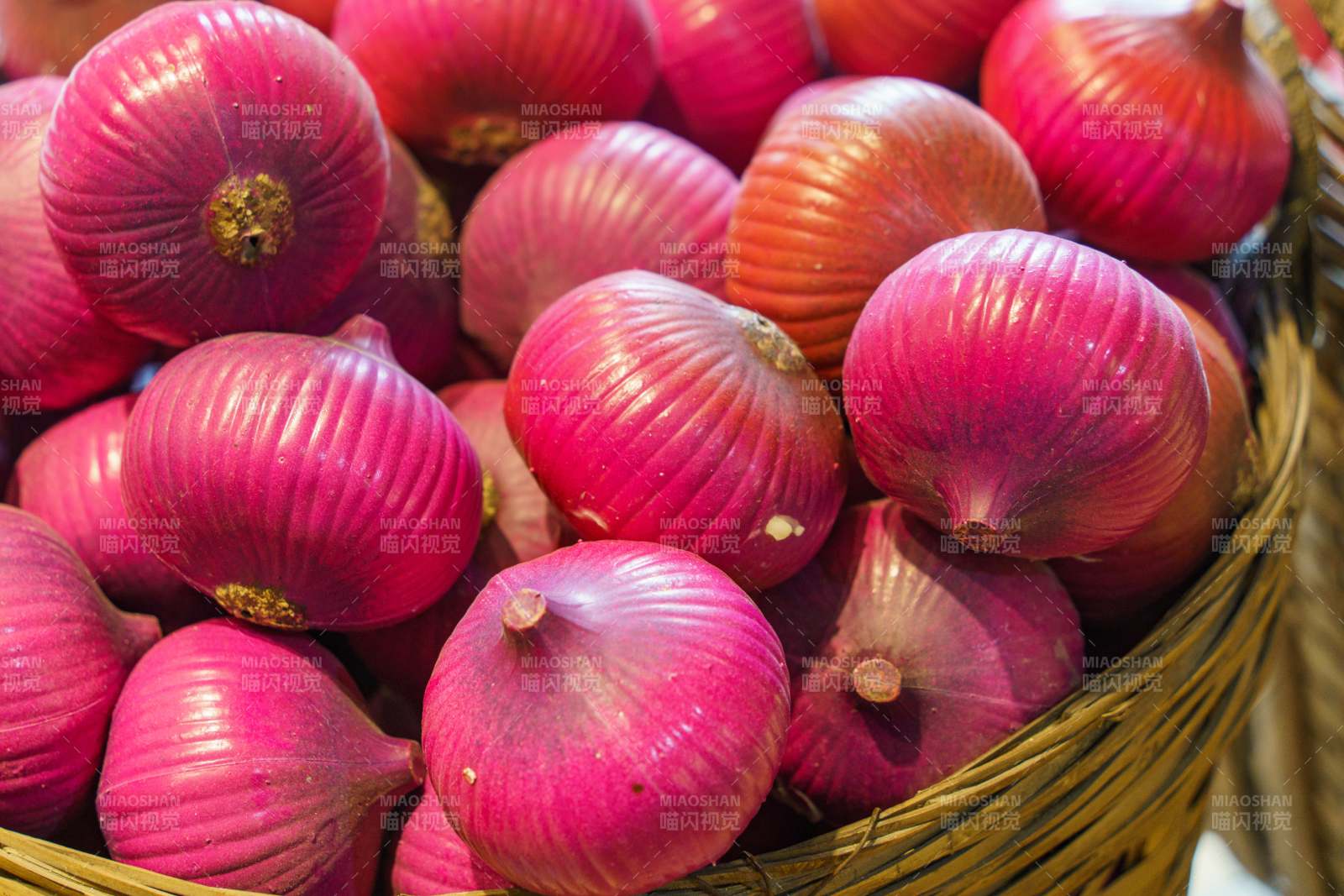 紫洋葱模型图片