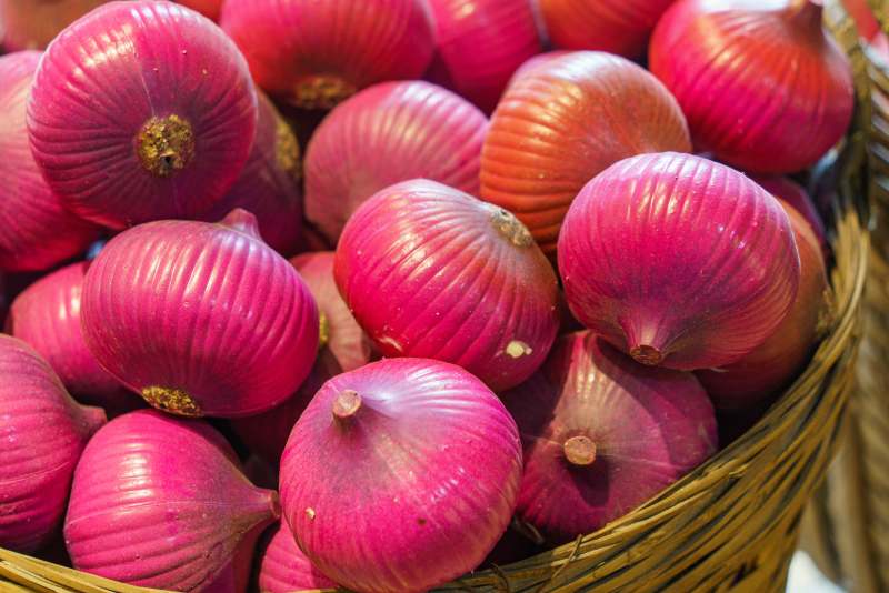 紫洋葱模型图片