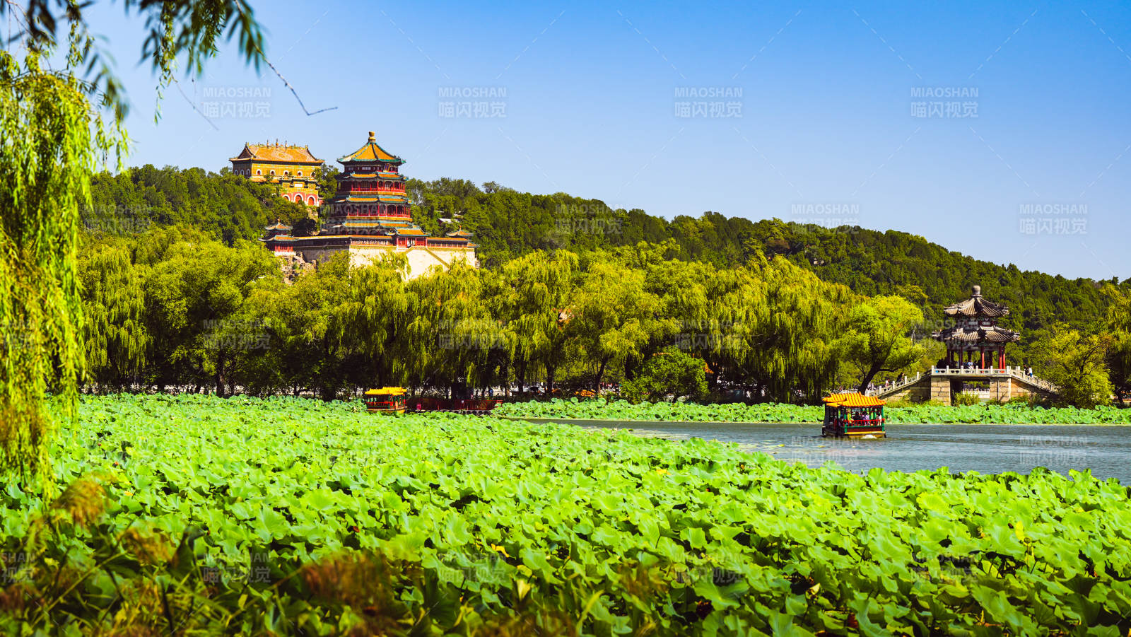 颐和园湖光山色映古塔图片
