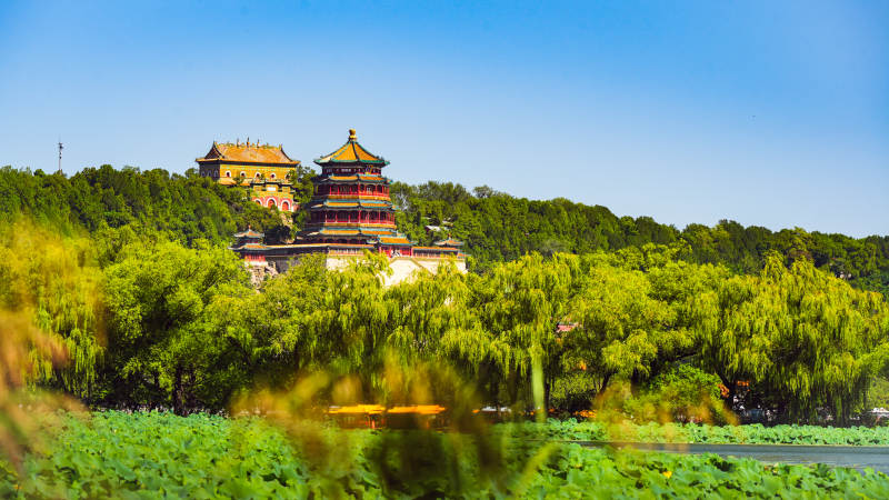 皇家园林春景图片