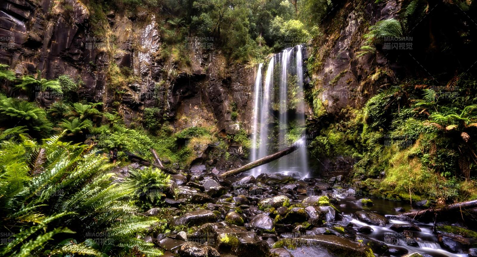 澳洲大洋路沿途幽谷飞瀑图片