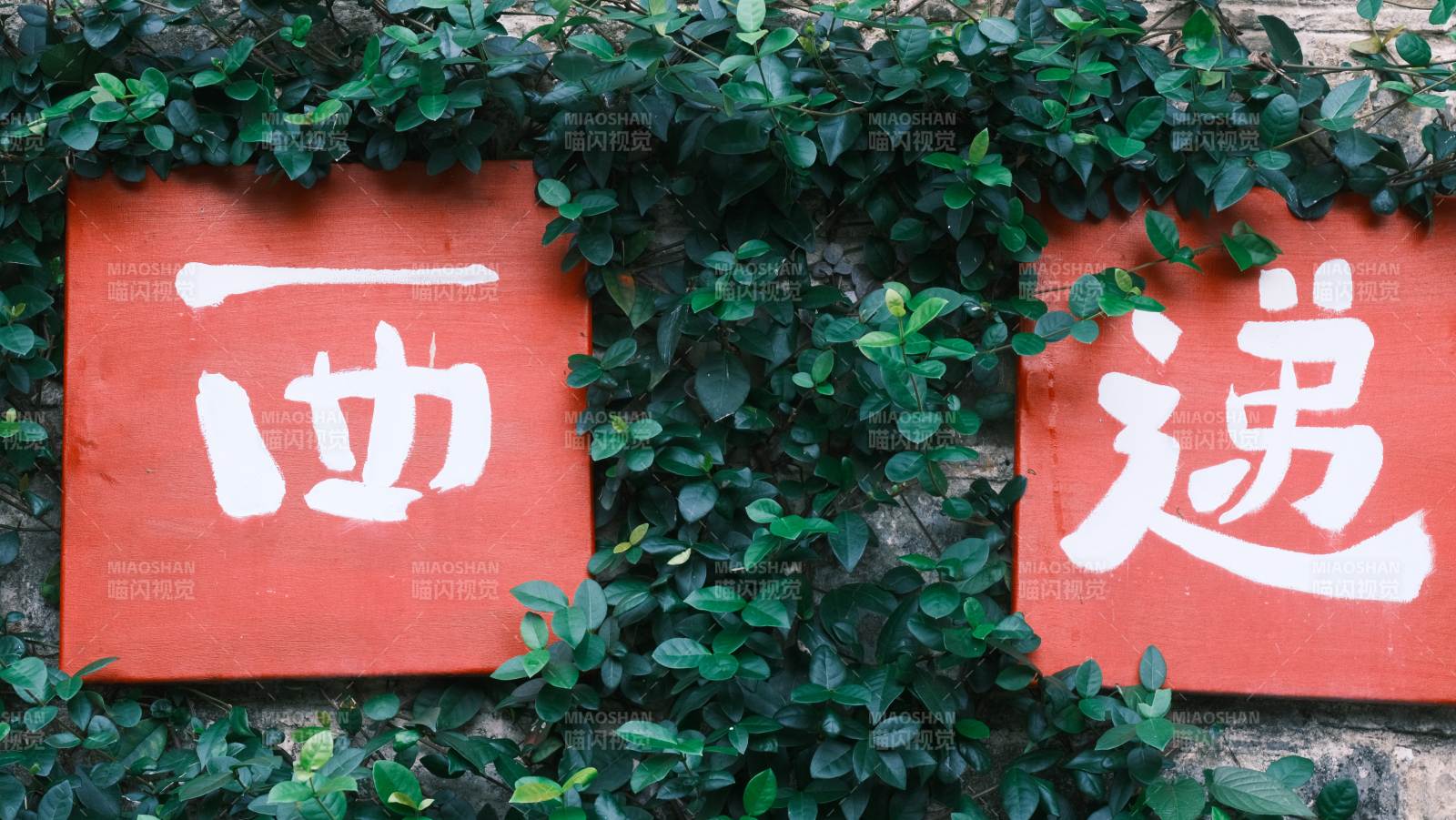 西递古镇古韵图片