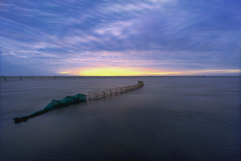 晨晓滩涂#江苏启东图片