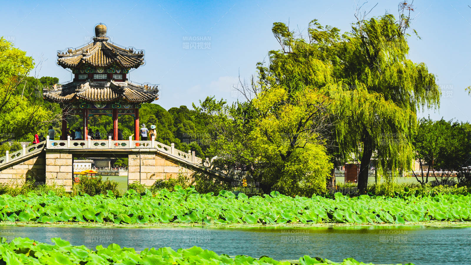 亭台湖畔绿意浓图片