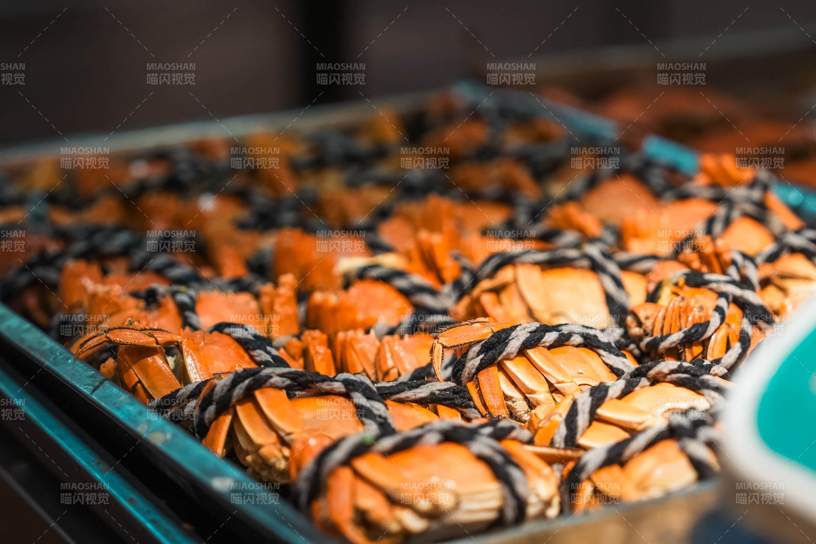 新鲜捆绑的螃蟹图片