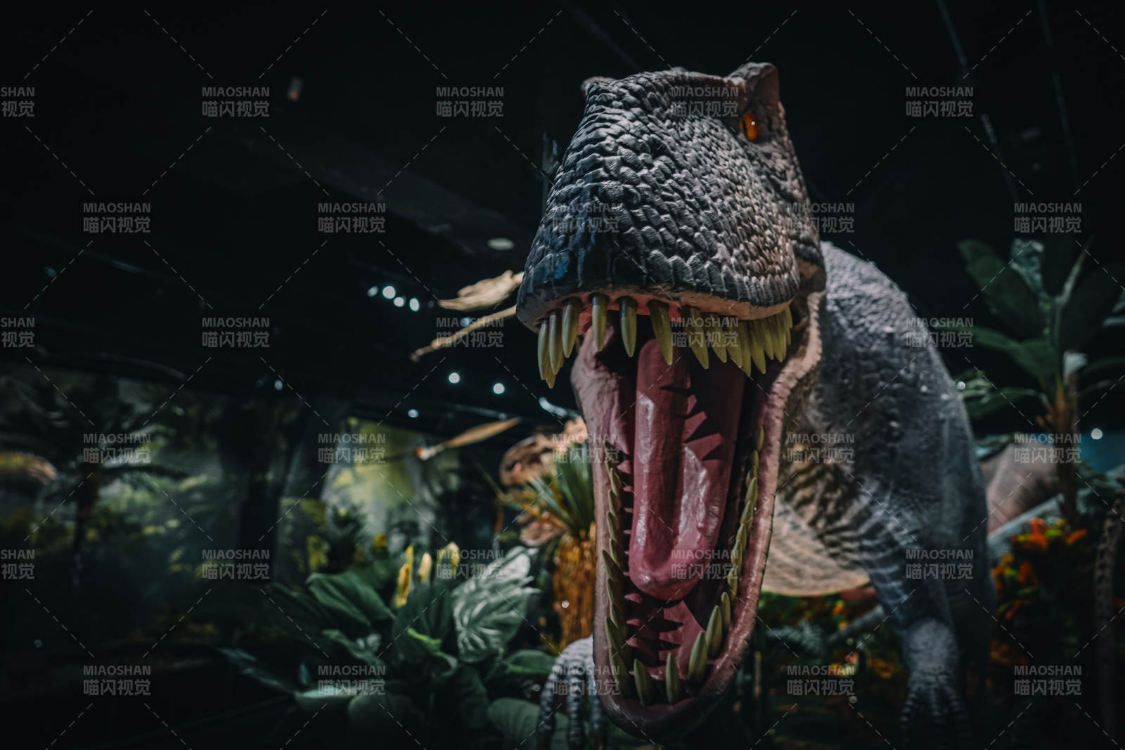 霸王龙怒吼图片