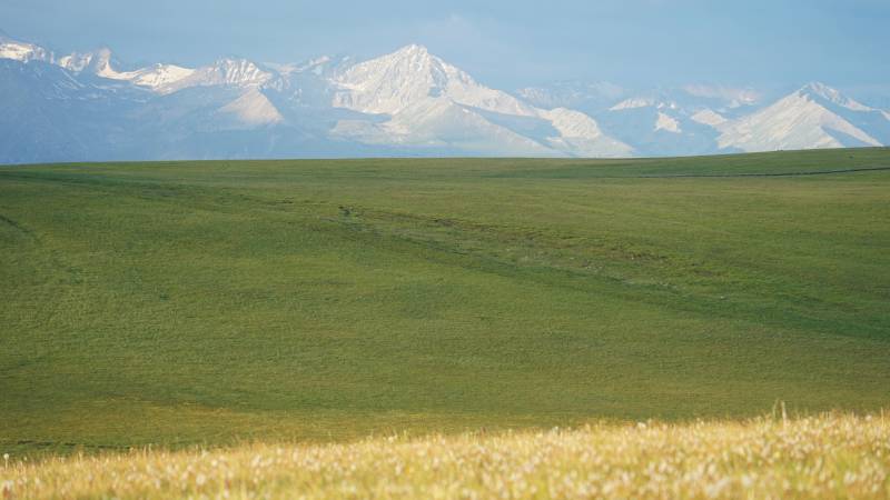 新疆草原风光图片