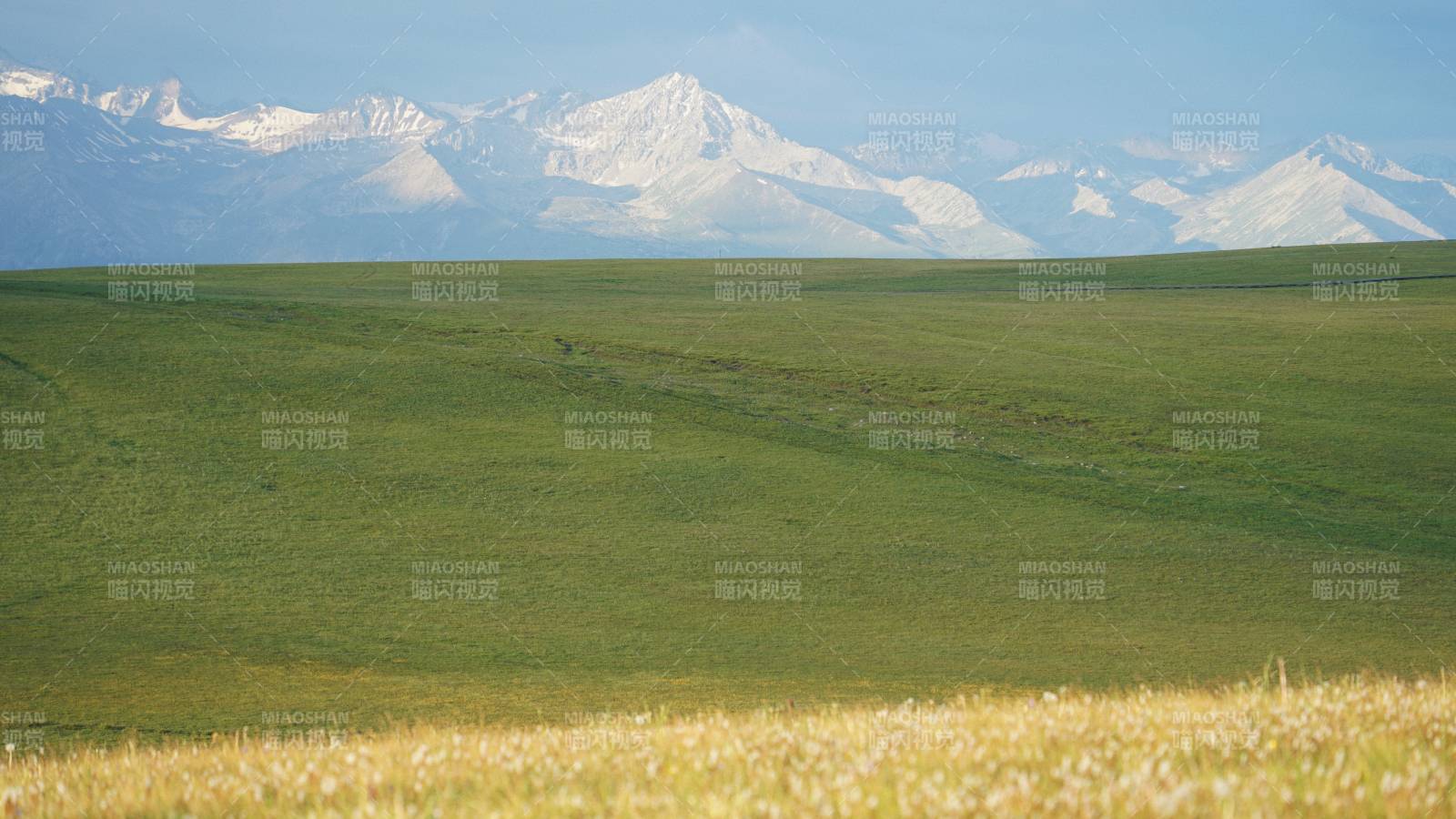 新疆草原风光图片