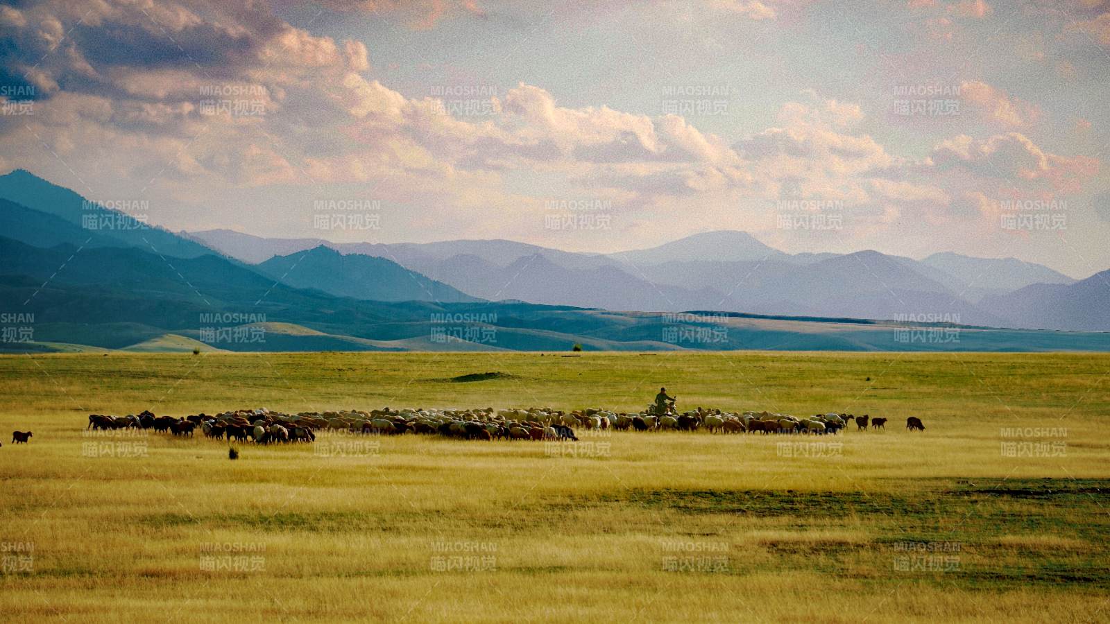 伊昭公路旁的牧群图片