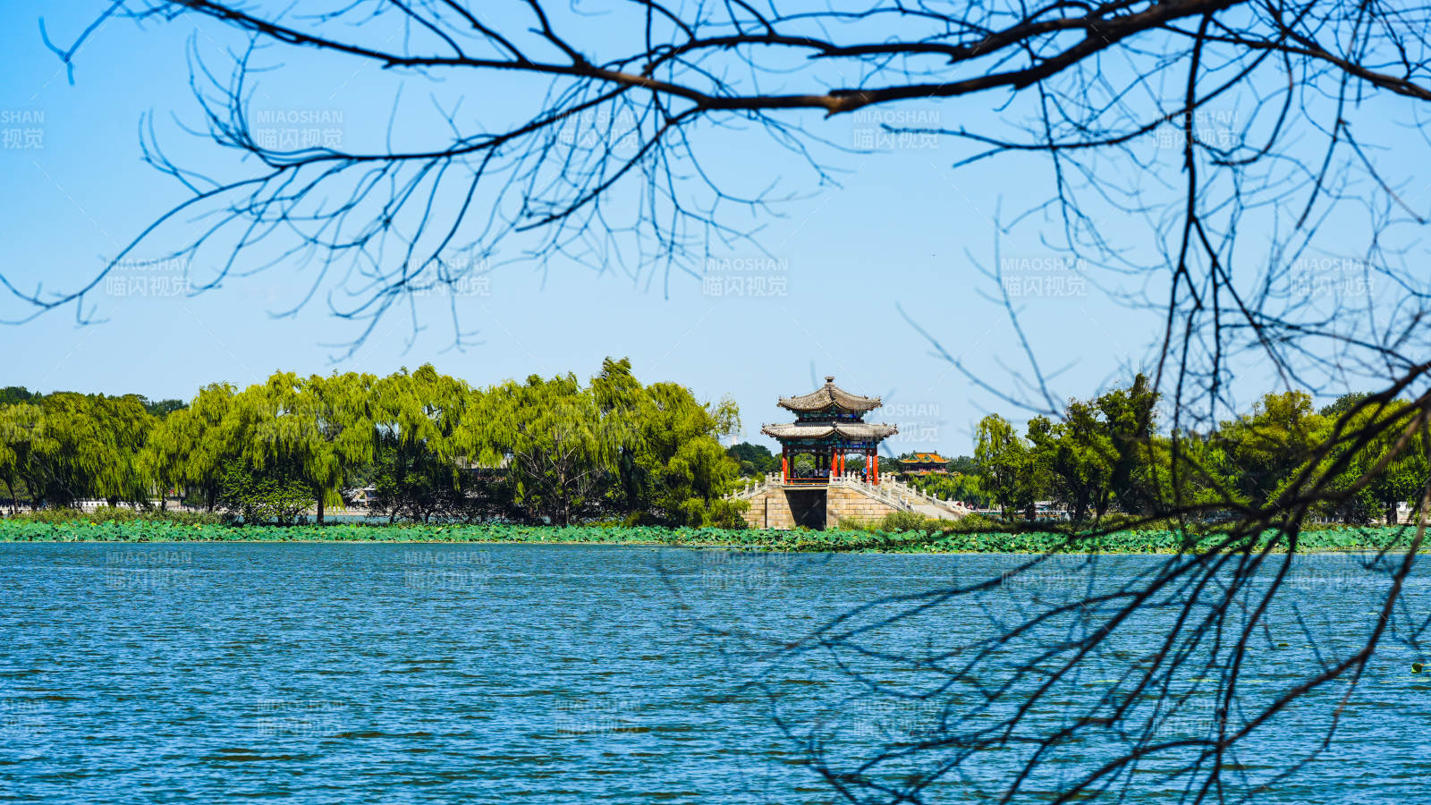 颐和园  湖畔古亭春景图片