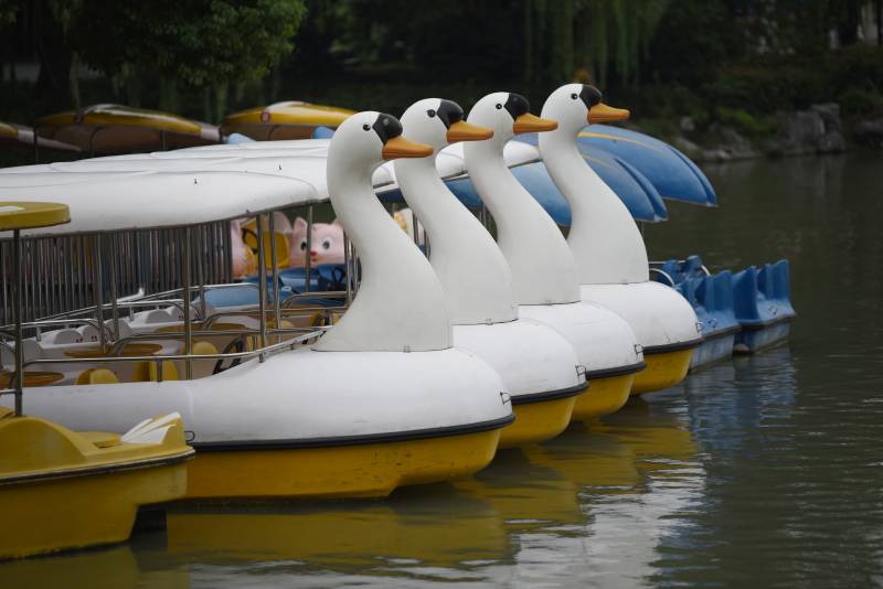 湖畔鸭形游船图片