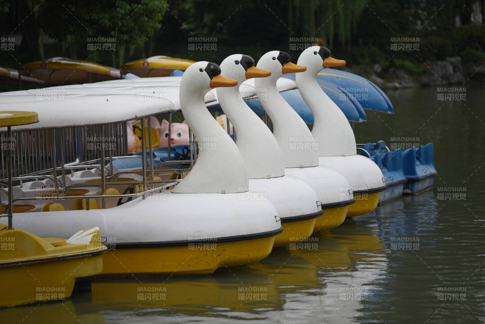 湖畔鸭形游船图片