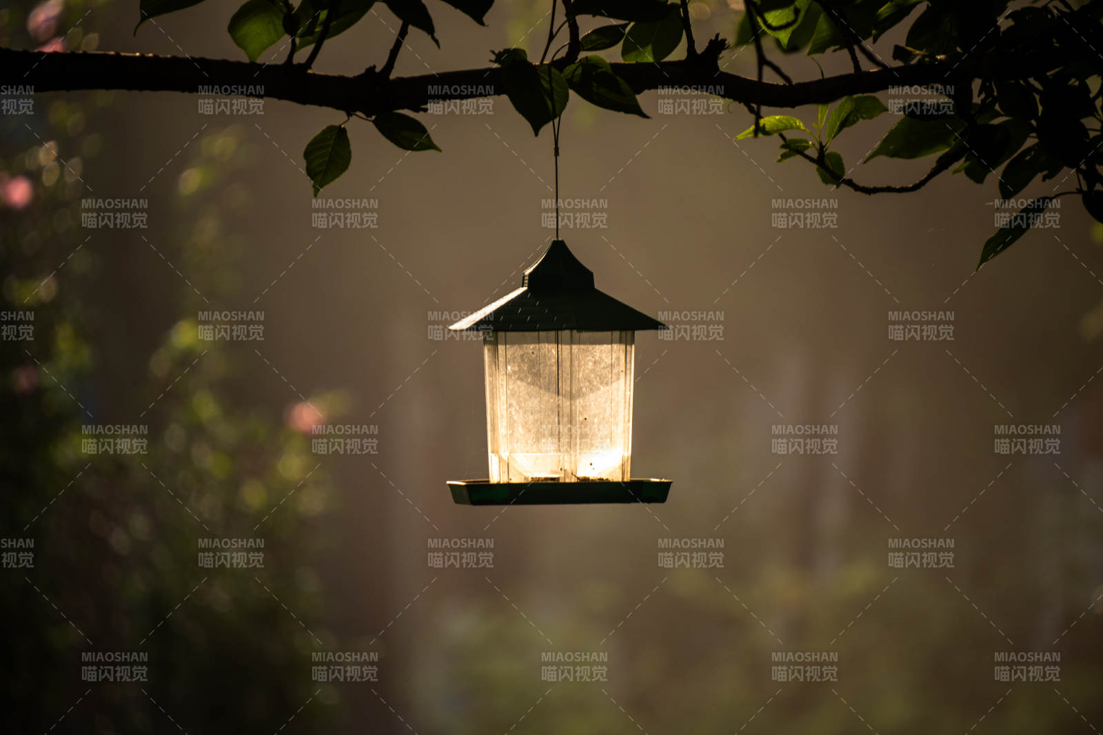 树影下的复古灯图片